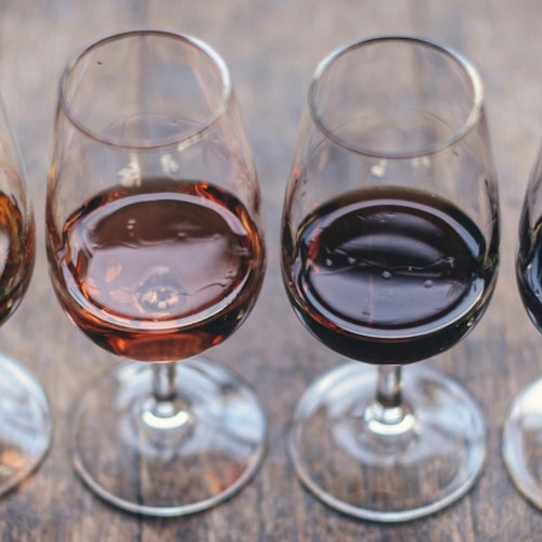 Madrid: Guided Wine, Tapas, and Olive Oil Tasting Experience