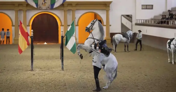 Desde Sevilla: Jerez, Cádiz y caballos andaluces