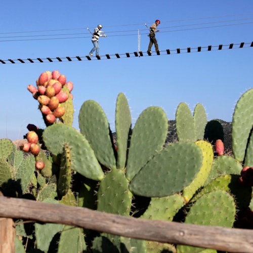 Parque de Naturaleza y Aventura: Excursión en Grupo Reducido desde Marrakech + Almuerzo