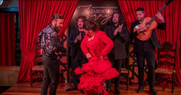 Granada: espectáculo de flamenco en el Albaicín - Jardines de Zoraya