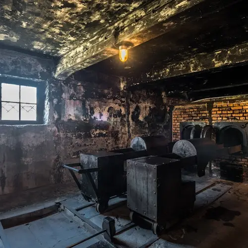 Auschwitz-Birkenau: Tour guiado + Transporte