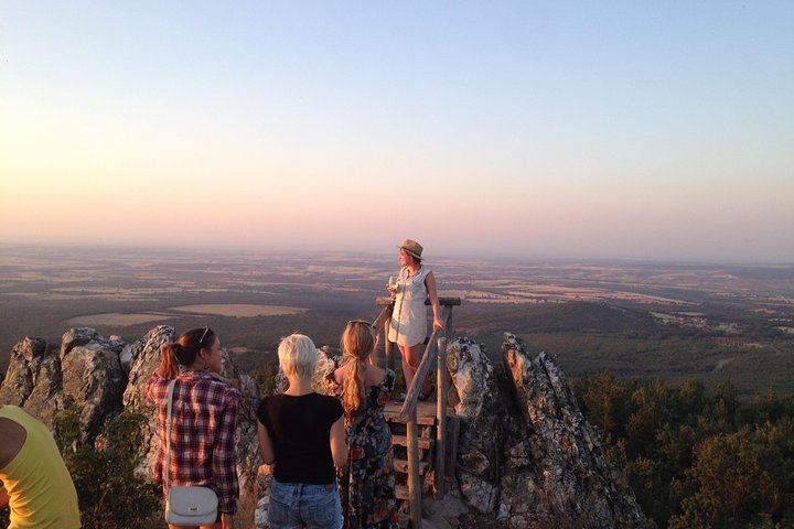 Visita Guiada a Bodegas Ribera del Duero y Cata de Vinos desde Madrid