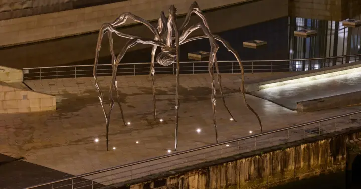 Guided visit of the exterior and admission to the Guggenheim Museum