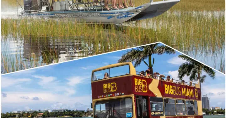 Miami Combo: Everglades Experience and Hop-on Hop-off Tour