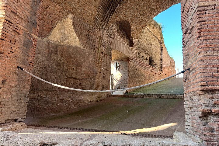 Visita guiada al Coliseo con Foro Romano