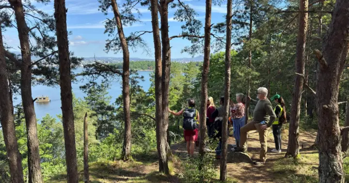 Oslo Nature Walks: Island Hopping Tour
