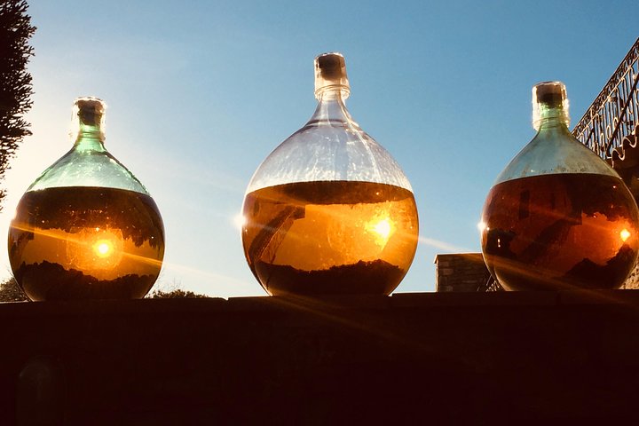 Cassis, Bandol y Le Castellet Vino tour