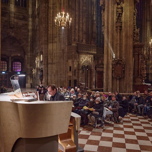 Catedral de San Esteban: Concierto del Órgano Gigante