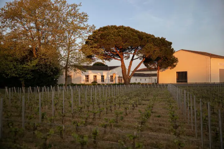 Château de Fieuzal: discover a family Grand Cru Classé in a small group