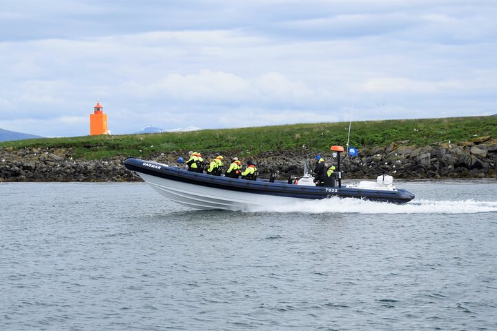 Puffin Express by RIB Speedboat from Reykjavík
