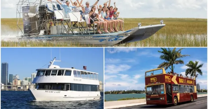 Miami Bundle: Everglades, Boat Cruise & Open-Top Bus Tour