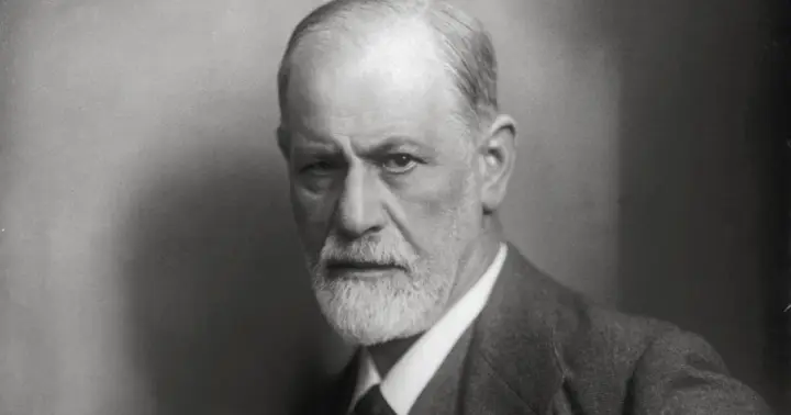 Sigmund Freud Museum Ticket