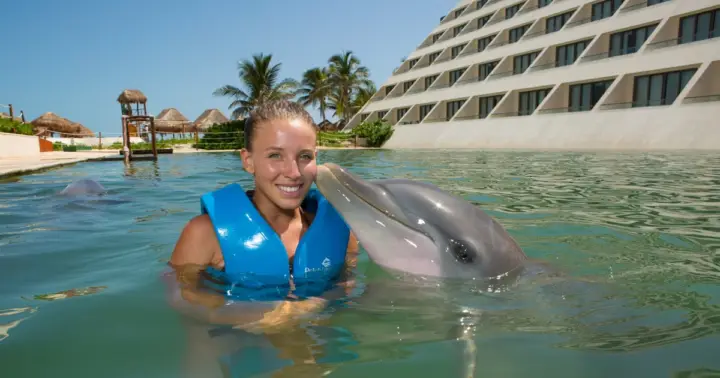 Punta Cancún: Nade con delfines Primax