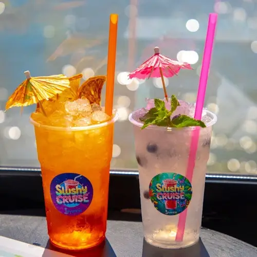 Budapest: Sightseeing Cruise + Unlimited Slushy
