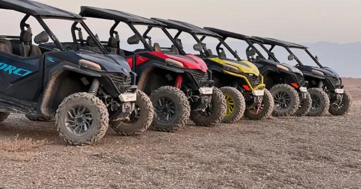 DAKHLA: buggy en las dunas con una hermosa vista panorámica