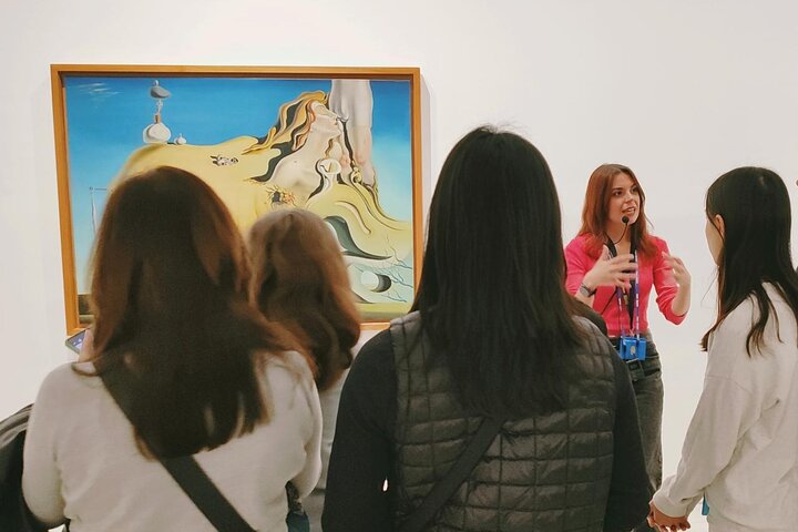 Tour Privado al Museo del Prado y Reina Sofía