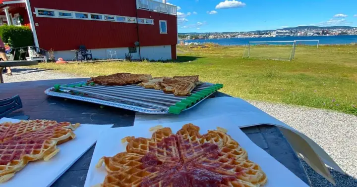 Oslo: Nakholmen-Lindøya islands and city - food tour - ferry