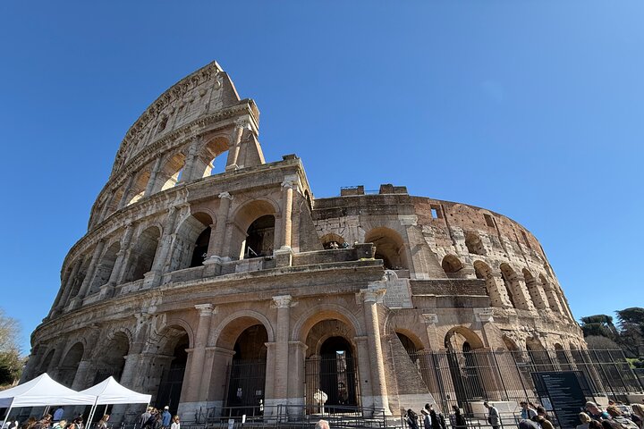 Tour Privado : Coliseo, Foro Romano & Colina Palatina