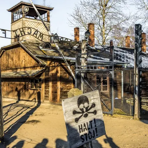 Auschwitz-Birkenau: Tour guiado