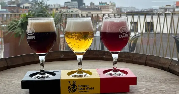Bruselas: entrada a la azotea con cata de tres (3) cervezas belgas
