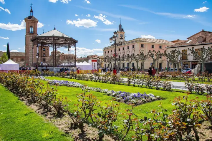 Desde Madrid: Alcalá de Henares, Visita a Bodegas y Cata de Vinos