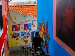 Tour por Príncipe Real y Graça en tranvía