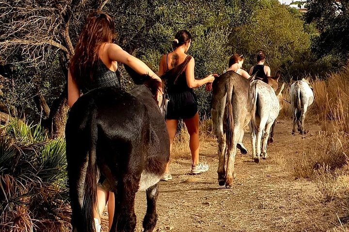 Recorre el Santuario y Camina con los Burros y Comparte su Amor
