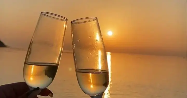Sunset Champagne Cruise Biscayne Bay & Skyline Views