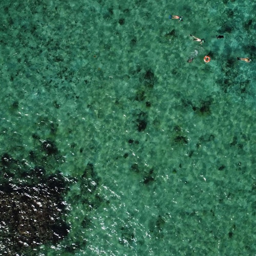 Tulum: Excursión guiada de snorkel y cenotes + Traslado + Comida