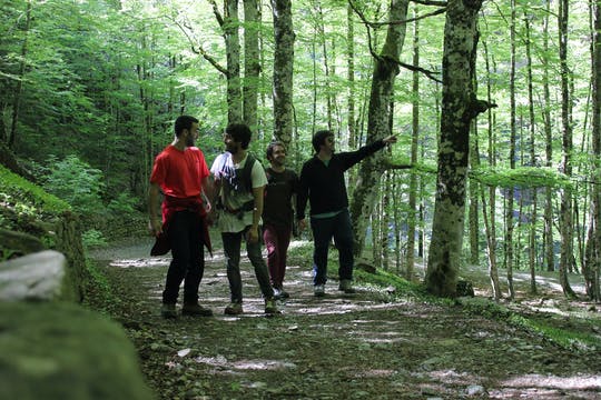 Caminata a San Pedro por el Camino de Santiago desde San Sebastián