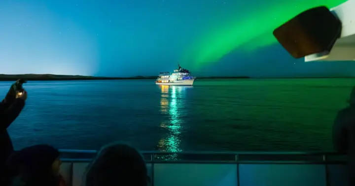 Reykjavik: Northern lights with second chance guarantee