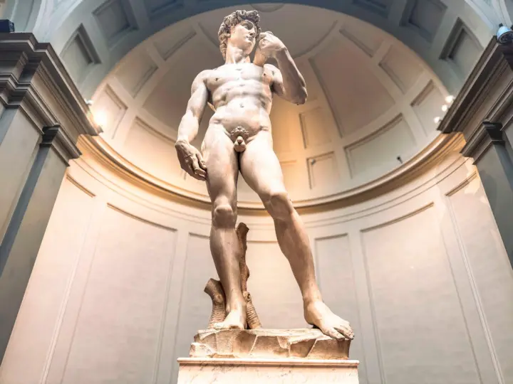 Florence:Accademia + David Entrance Ticket +Audio Guide APP