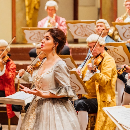 Musikverein Viena: Concierto Mozart Experiencia VIP + Cena + Paseo en Carruaje