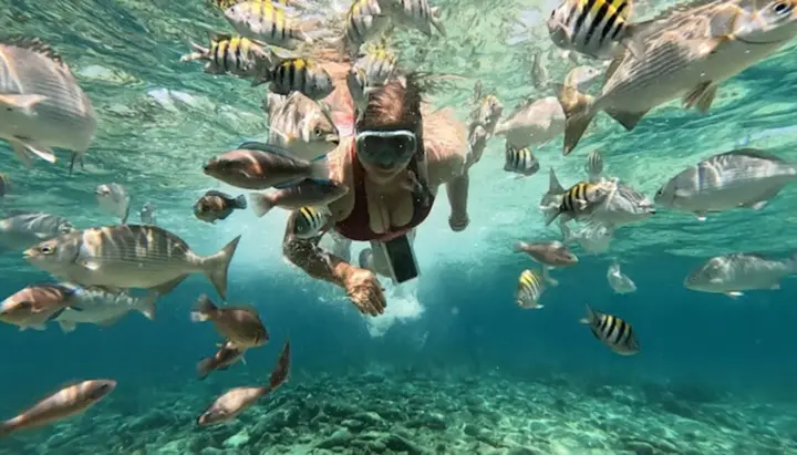 Cartagena: Excursión Islas del Rosario y Playa blanca con Snorkel o Acuario