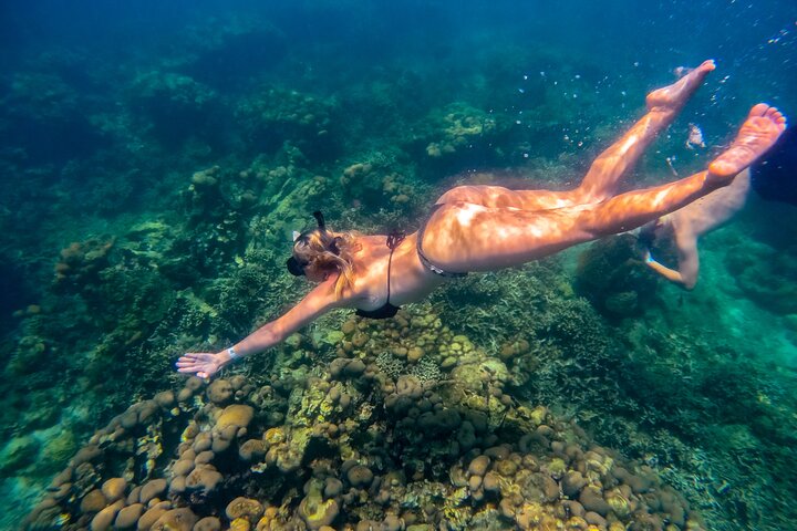 Día Completo 5 Mejores Spots de Islas Rosario Haz Amigos y haz Snorkel