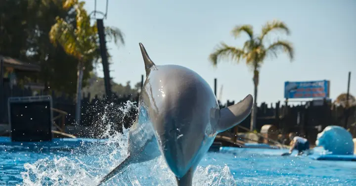 Mundomar Benidorm: Marine & Exotic Animal Park Ticket