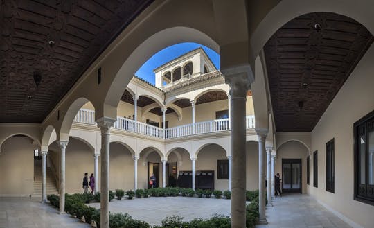 Entradas al Museo Picasso Málaga