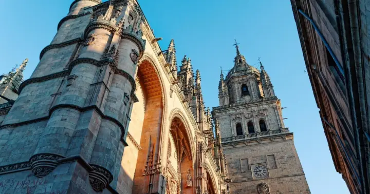 Visita guiada a las Catedrales de Salamanca