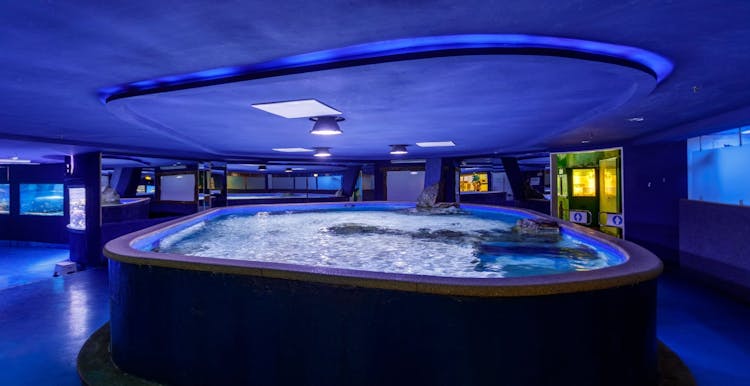 Entrada al Tropicarium de Budapest