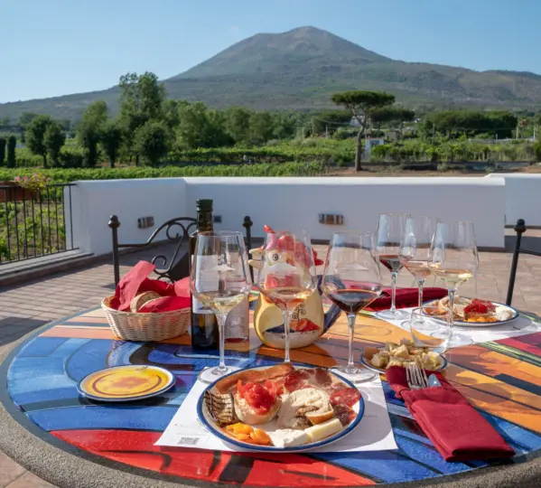 Pompeii: Wine Tasting Experience, Vineyards Tour and Lunch