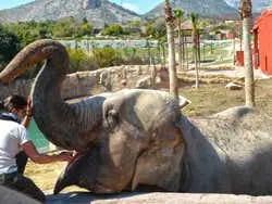 Terra Natura Benidorm Ticket