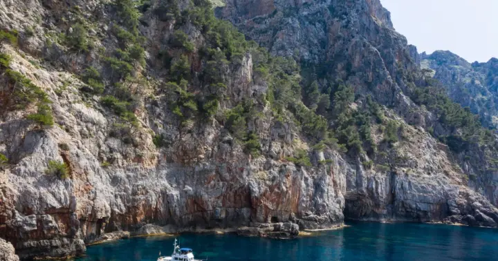 Mallorca: Tour en barco privado en Palma de Mallorca
