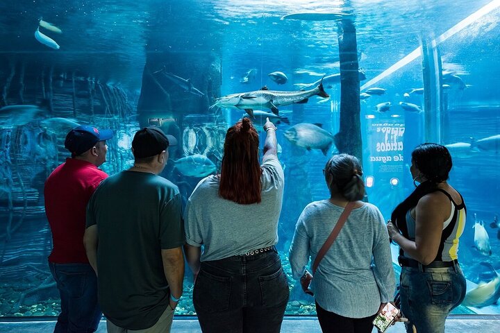 Parque Explora Medellín: Entrada General