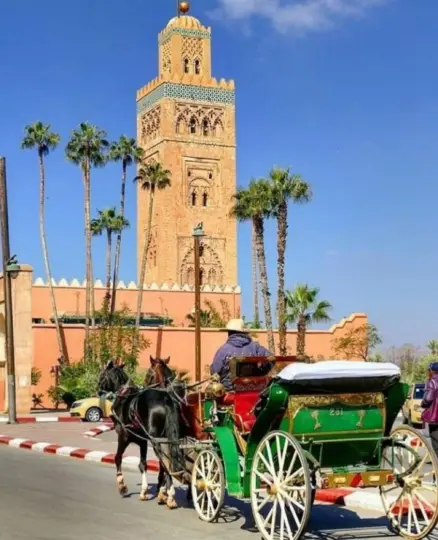 Marrakech: Visita tradicional de 1 hora en coche de caballos