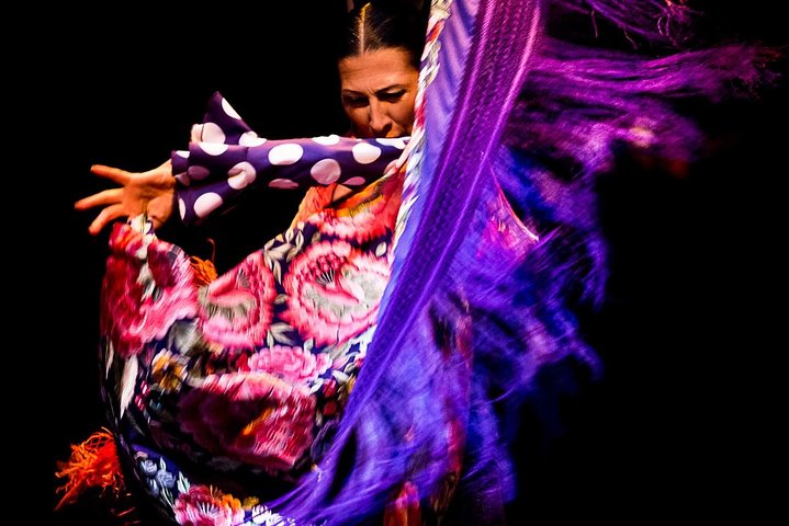 Sevilla : Puro Flamenco Show - Museo del Baile Flamenco