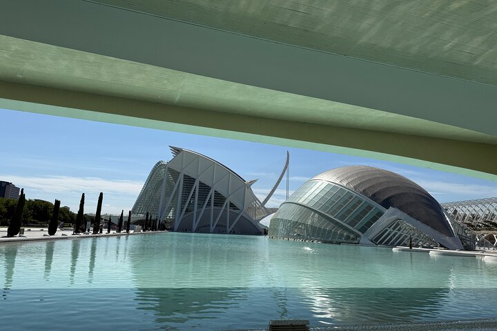 Valencia: City of Arts & Sciences Walking Tour with Local Guide