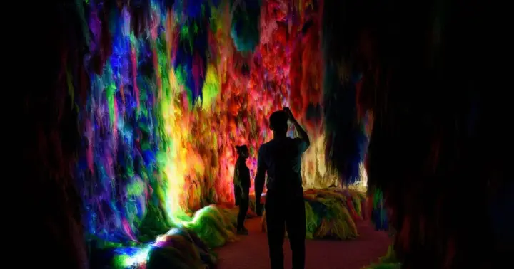Reykjavík: Multi-Sensory Art Installation Chromo Sapiens