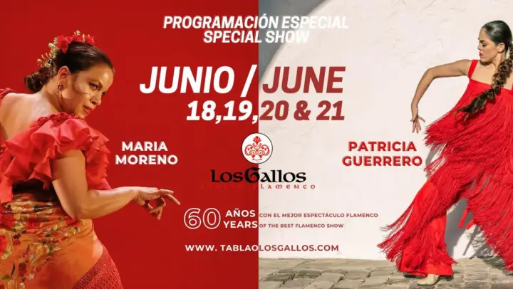 Sevilla: Espectáculo Flamenco en el Tablao Los Gallos