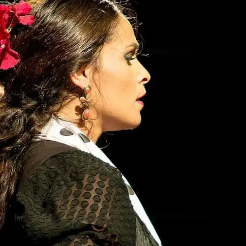 Venta El Gallo Granada: Espectáculo Flamenco + Cena o 1 Bebida
