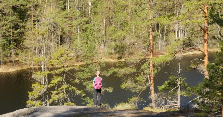 From Helsinki: Nuuksio National Park Hiking Tour with Food